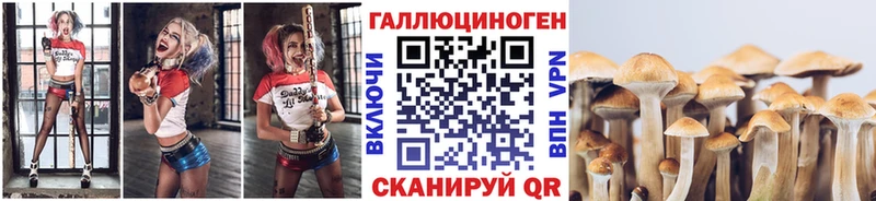Купить закладки  Ленинградская  Псилоцибиновые грибы Psilocybe 